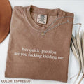 Comfort Colors Hey Quick Question Are You Kidding Me Shirt, Funny Humor Shirt, Funny Girls Shirt, For Woman Hoodie,...