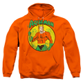 Aquaman Aquaman - Pullover Hoodie Style002 T-Shirts, Sweatshirt | CiraTrend.com