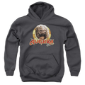 Dark Crystal Aughra Circle - Youth Hoodie (Ages 8-12) T-Shirts, Sweatshirt | CiraTrend.com