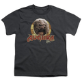 Dark Crystal Aughra Circle - Youth T-Shirt (Ages 8-12) Hoodie, Sweatshirt | CiraTrend.com