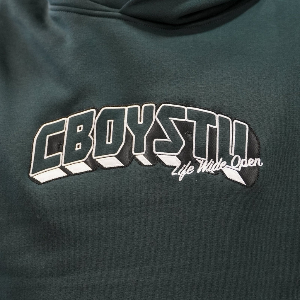 Collegiate Applique Hoodie T-Shirts, Sweatshirt | CiraTrend.com (Image 3)