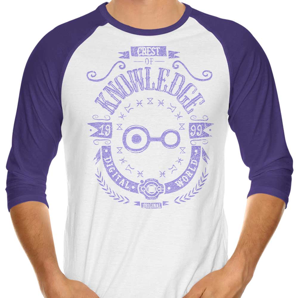 Digital Knowledge - 3/4 Sleeve Raglan T-Shirt Hoodie, Sweatshirt | CiraTrend.com (Image 3)