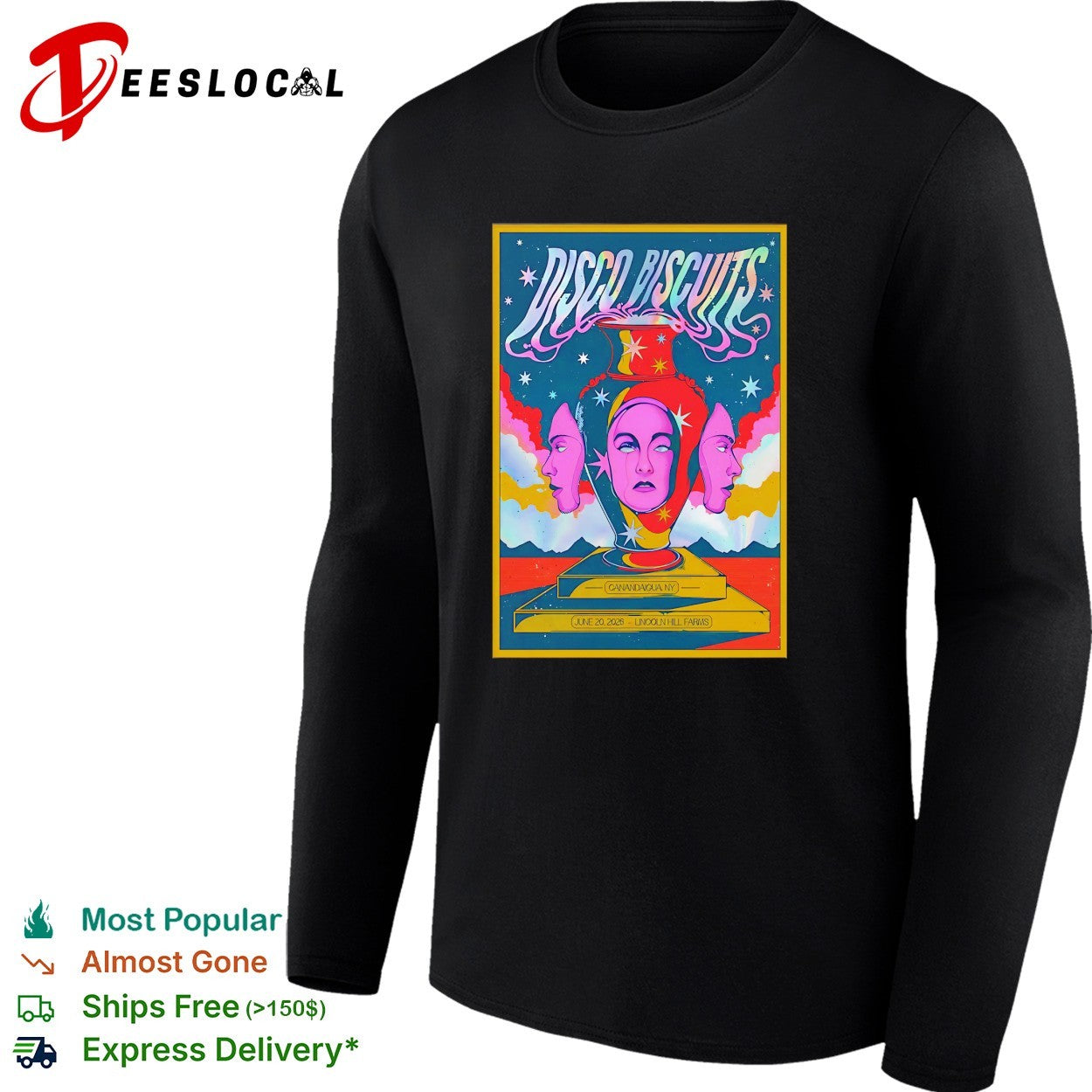 Disco Biscuits Canandaigua New York 2026 poster shirt