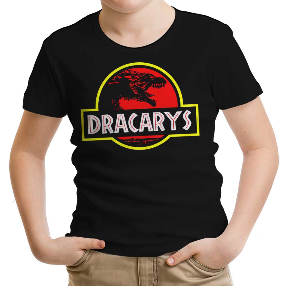 Dracarys Park - Youth Apparel T-Shirts, Hoodie, Sweatshirt | CiraTrend.com (Image 1)