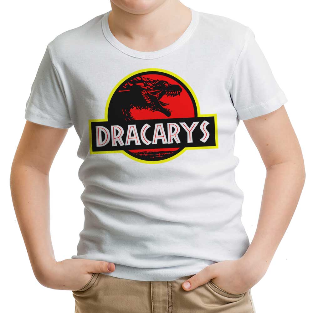 Dracarys Park - Youth Apparel T-Shirts, Hoodie, Sweatshirt | CiraTrend.com (Image 3)