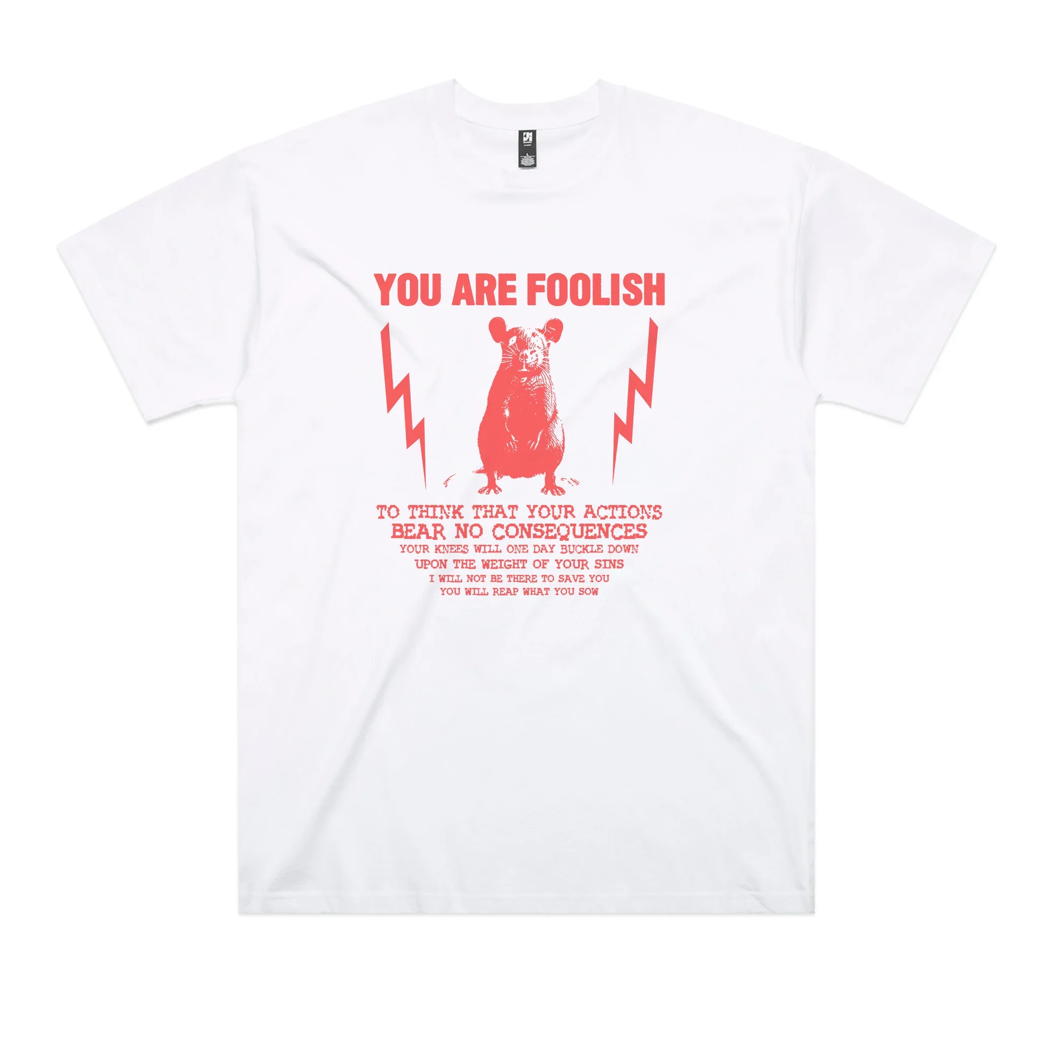 You Are Foolish Oversized Tee Hoodie, Sweatshirt | CiraTrend.com (Image 1)