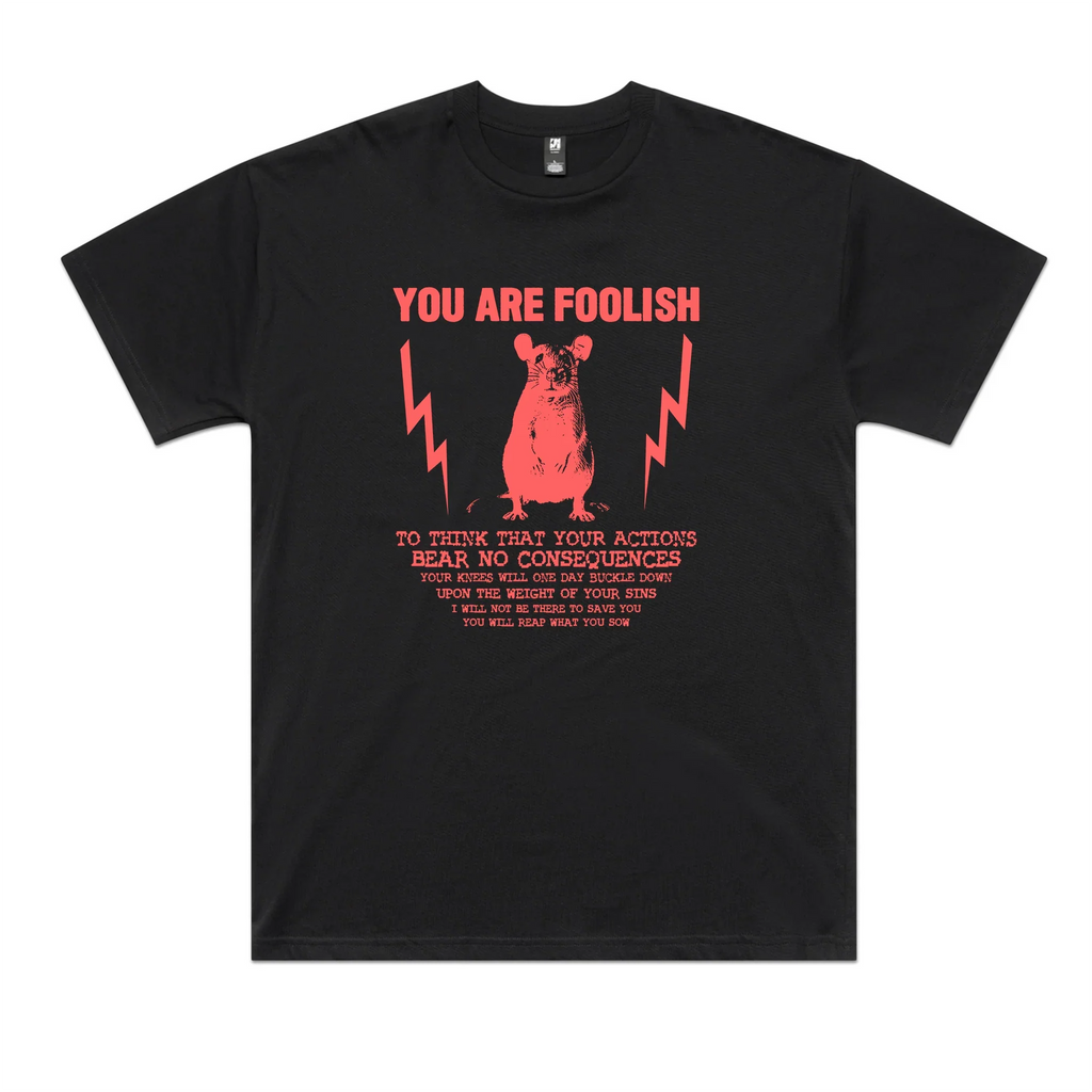 You Are Foolish Oversized Tee Hoodie, Sweatshirt | CiraTrend.com (Image 2)