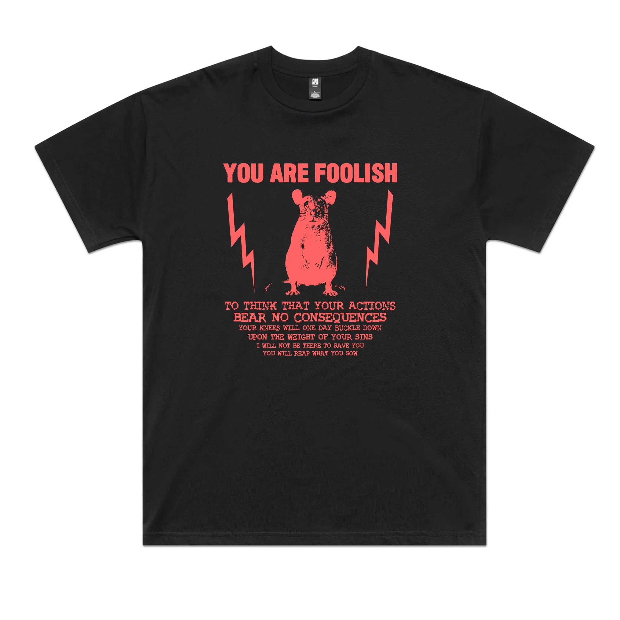 You Are Foolish Oversized Tee Hoodie, Sweatshirt | CiraTrend.com (Image 2)