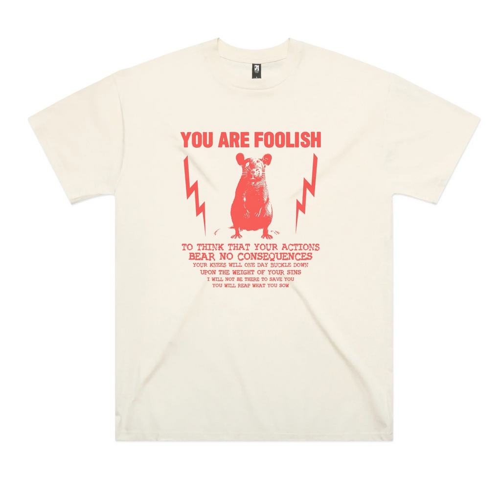 You Are Foolish Oversized Tee Hoodie, Sweatshirt | CiraTrend.com (Image 3)