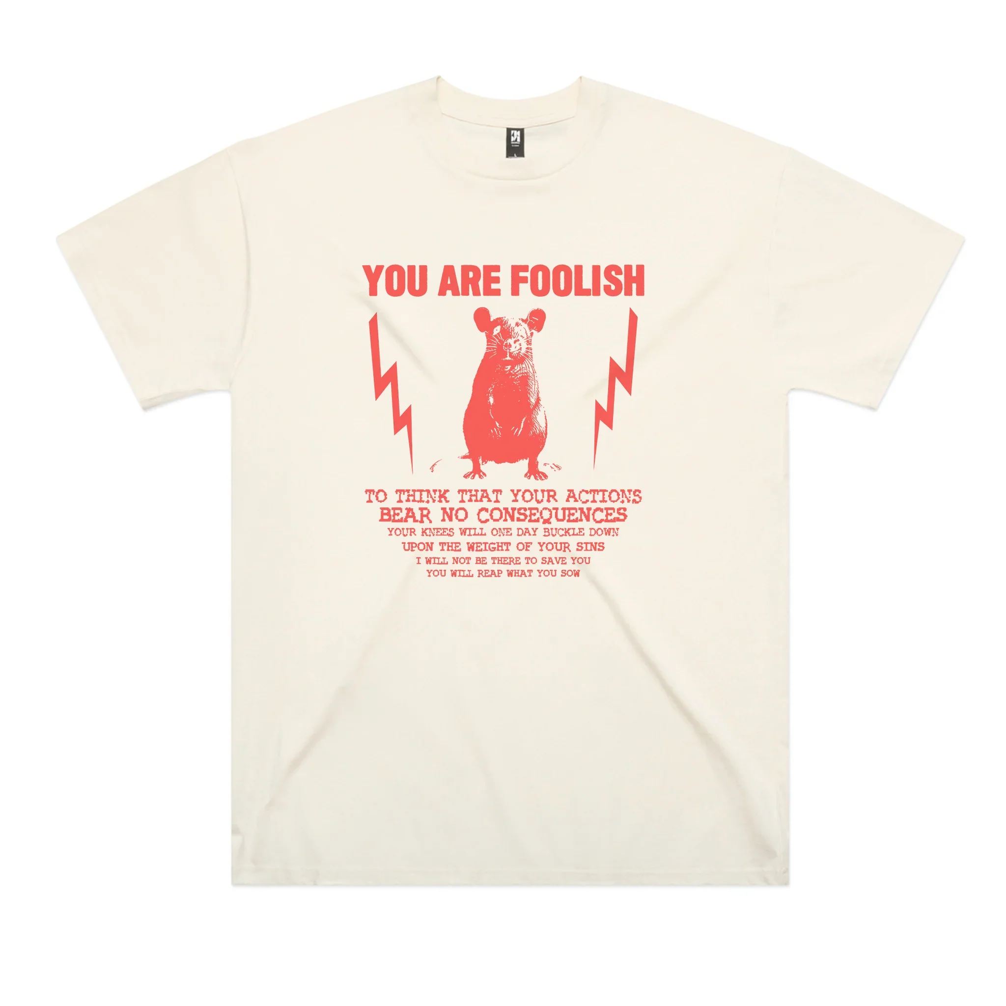 You Are Foolish Oversized Tee Hoodie, Sweatshirt | CiraTrend.com (Image 3)