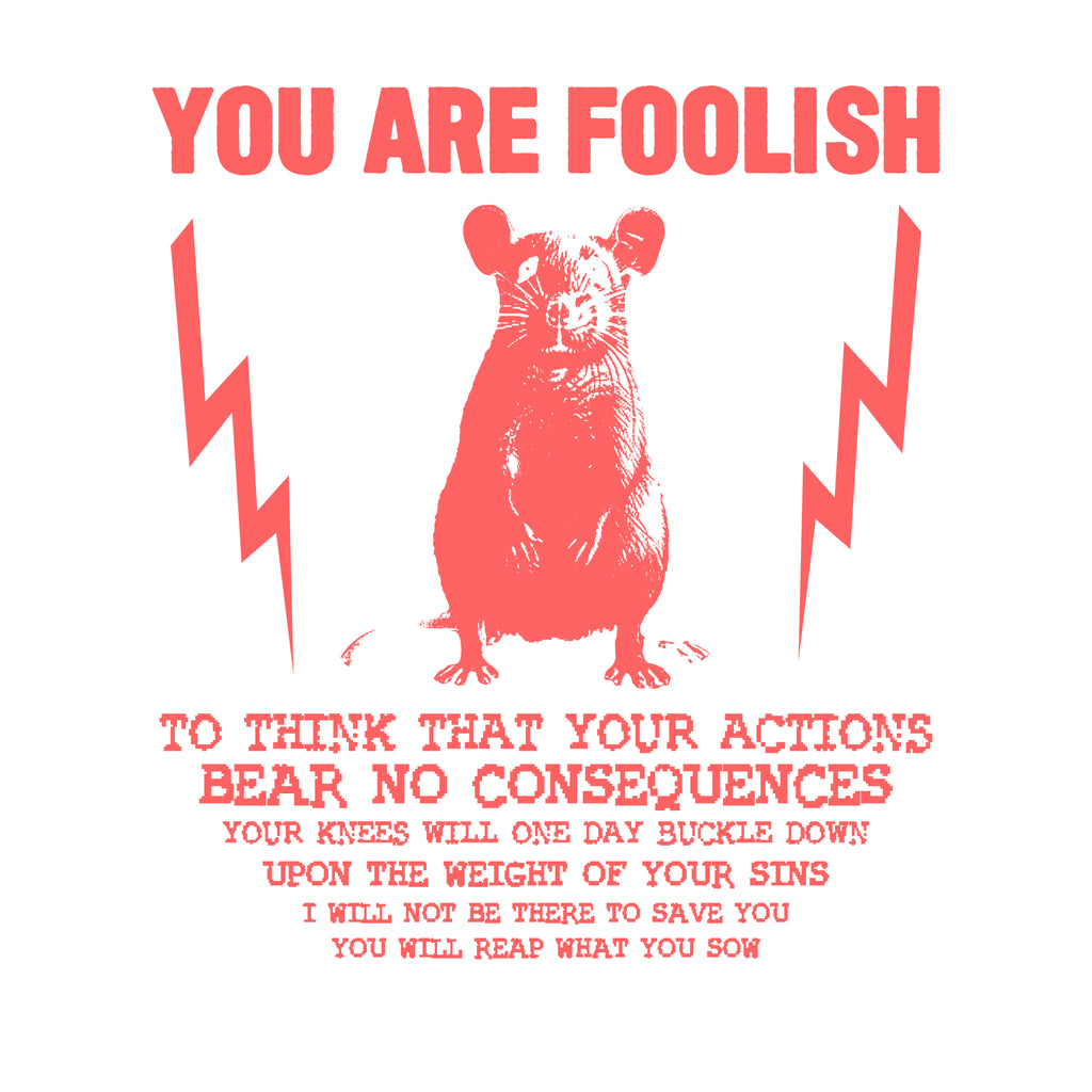 You Are Foolish Oversized Tee Hoodie, Sweatshirt | CiraTrend.com (Image 4)