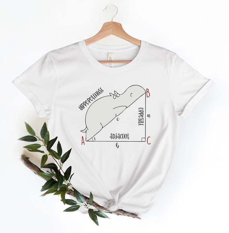 Funny Math T Shirt, Funny Hippopotenuse Shirt, Math Teachers Shirt, Teacher Shirt, Geometry Teacher Gift,Geometry Nerd...