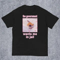 Funny Meme Shirt, The Government Wants Me in Jail Tee, Cat Lover Gift Unisex T-Shirt Hoodie, Sweatshirt | CiraTrend.com