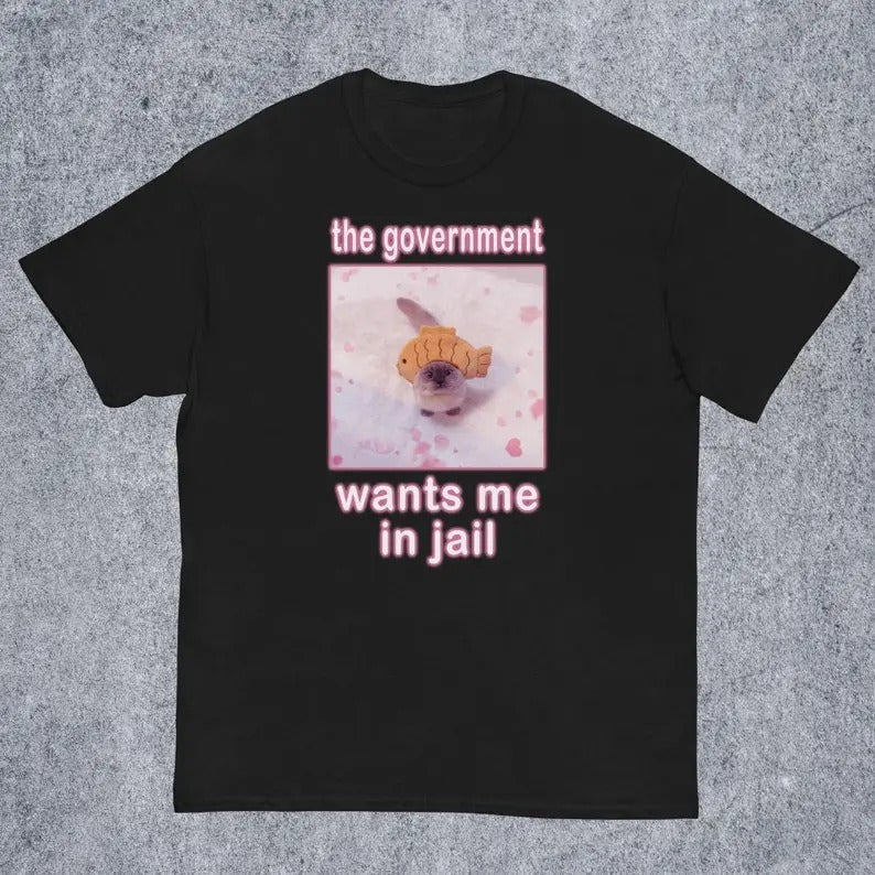 Funny Meme Shirt, The Government Wants Me in Jail Tee, Cat Lover Gift Unisex T-Shirt Hoodie, Sweatshirt | CiraTrend.com