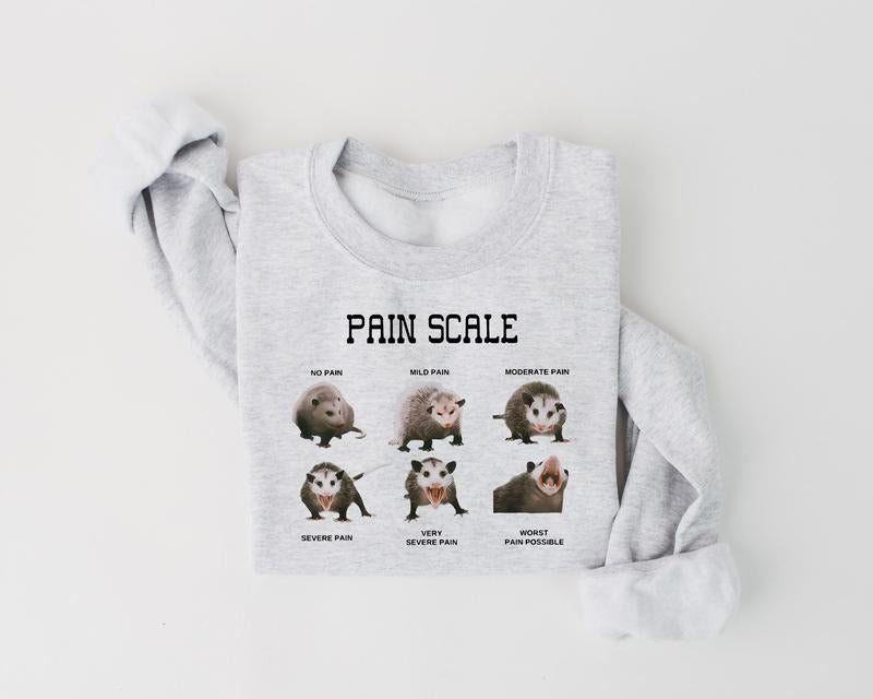 Funny Nurse Sweatshirt, Pain Scale Sweater, Pain Scale Pain Assessment Shirt, Pain Scale Pain Assessment Opossum Trauma...