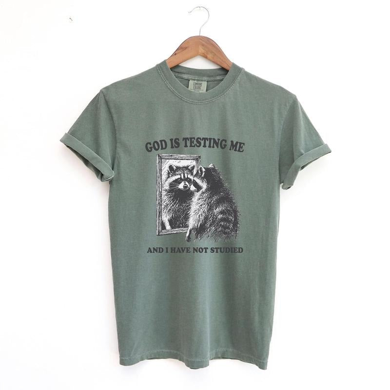 God Is Testing Me, Funny Unisex Tee, Possum T-Shirt, Meme T-Shirt, Trash Panda Shirt, Vintage style Shirt, Raccoon Meme...