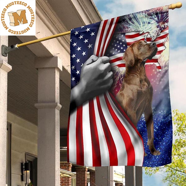 Great Dane Inside American Flag Dog Patriotic Independence Day 4Th Of July Decorations Outdoor 2 Sides Garden House Flag