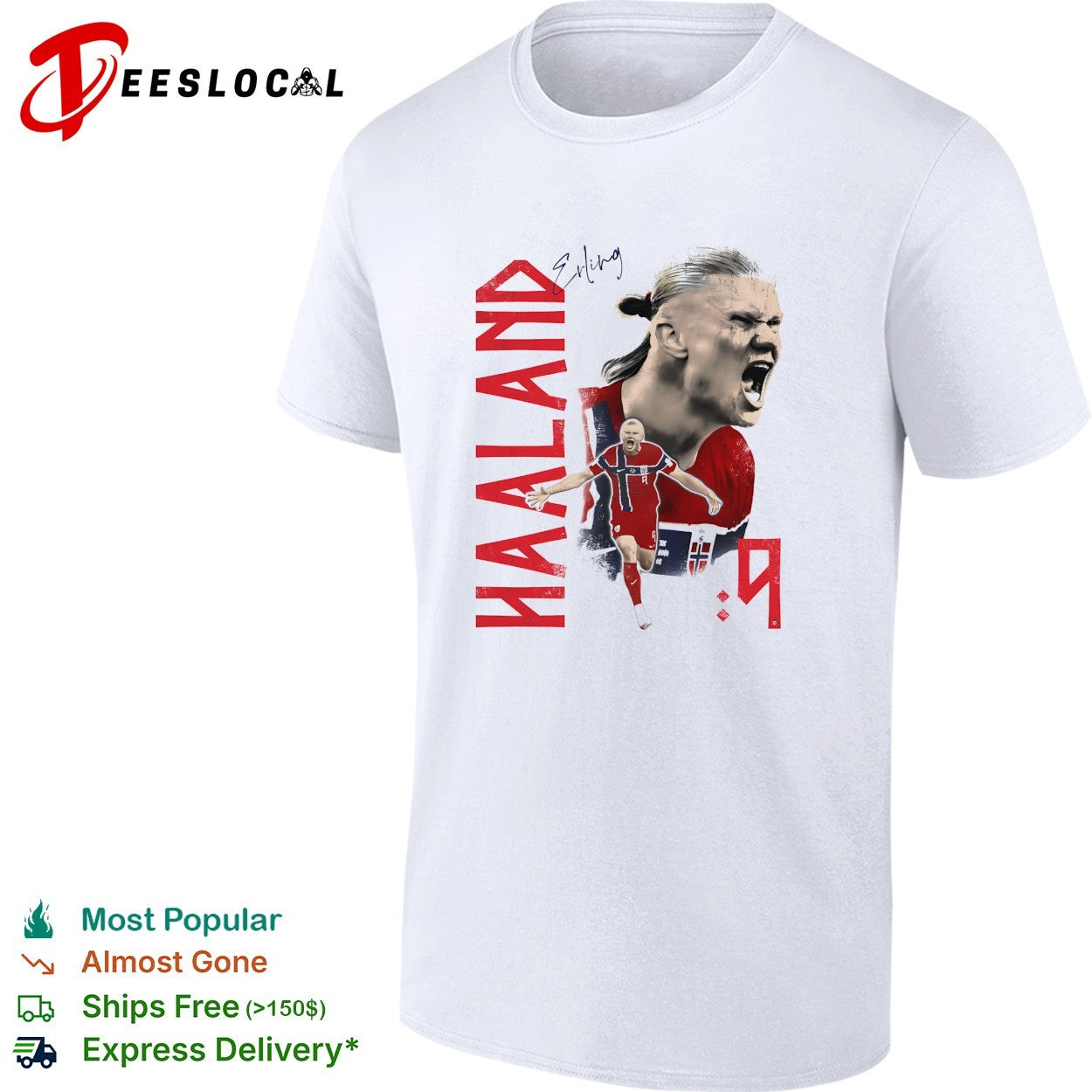 Haaland Norway number 9 jersey poster shirt