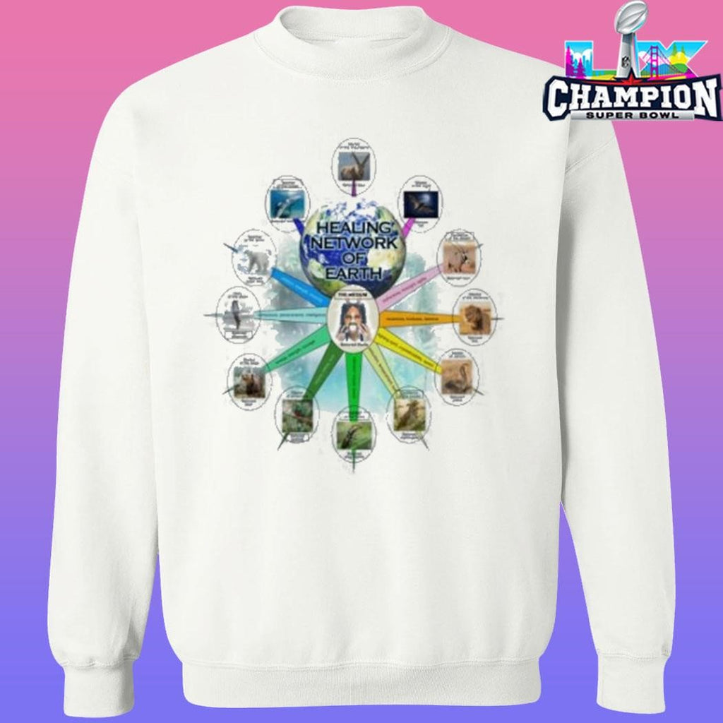 Horsegiirl Healing Network Shirt