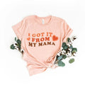 I Got It From My Mama Shirt, Mama Shirt, Feminist Shirt, Gift for Feminists, Empowered Women Shirt Hoodie, Sweatshirt