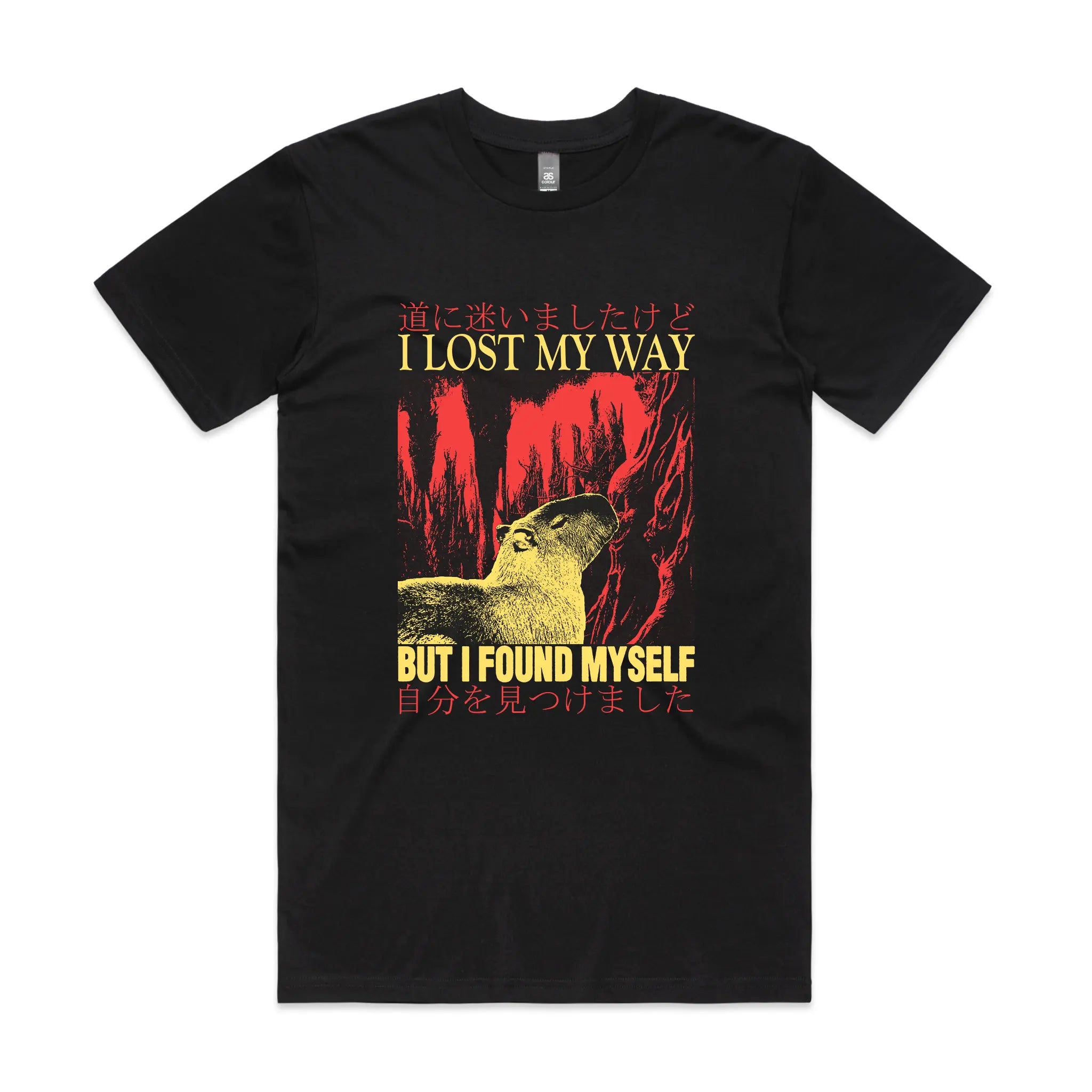 I Lost My Way Tee Hoodie, Sweatshirt | CiraTrend.com (Image 1)