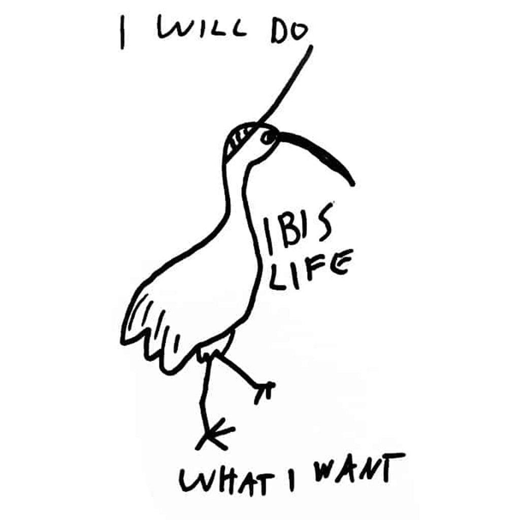 Do What I Want Ibis Life Hoodie T-Shirts, Sweatshirt | CiraTrend.com (Image 5)
