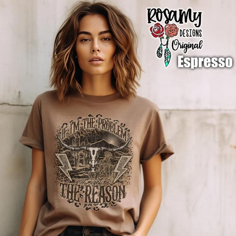 If I'm The Problem Shirt, Oversized T-shirt, Retro Western Country Music Concert Tee Hoodie, Sweatshirt | CiraTrend.com
