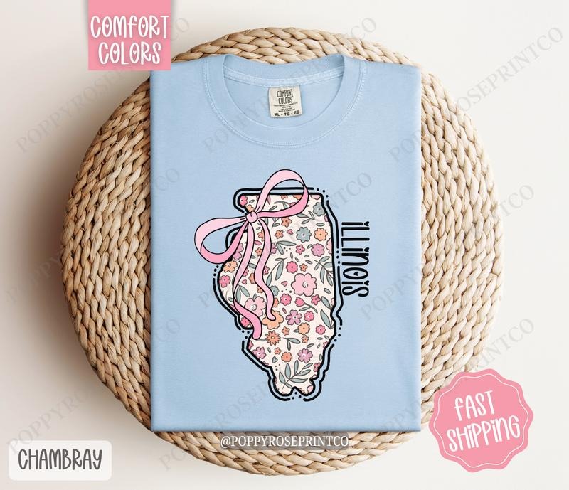Illinois Comfort Colors State Tshirt, Cute Illinois Shirt, Illinois Tshirt, Illinois Shirt Hoodie, Sweatshirt | CiraTrend.com