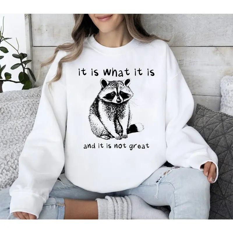It Is What It Is And It Is Not Great Sweatshirt, Meme Sweatshirt, Vintage Sweatshirt, Raccoon Sweatshirt, Funny...