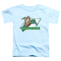 Aquaman Aquaman - Toddler T-Shirt Style002 Hoodie, Sweatshirt | CiraTrend.com