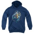 Aquaman Thrashing - Youth Hoodie T-Shirts, Sweatshirt | CiraTrend.com