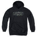 Aquaman Aquaman Title - Youth Hoodie T-Shirts, Sweatshirt | CiraTrend.com