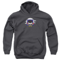 Batgirl Batgirl Chibi - Youth Hoodie T-Shirts, Sweatshirt | CiraTrend.com