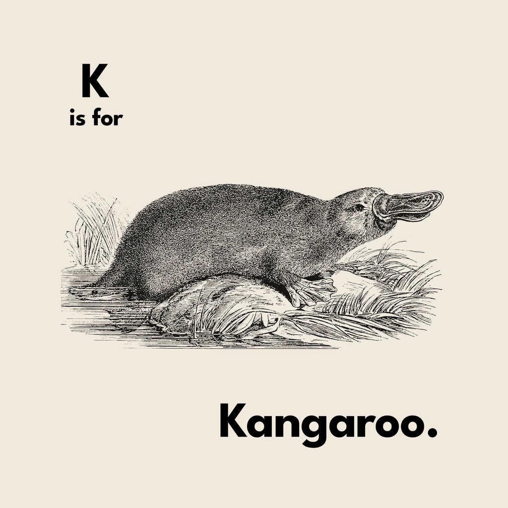 K Is For Kangaroo Oversized Tee Hoodie, Sweatshirt | CiraTrend.com (Image 4)