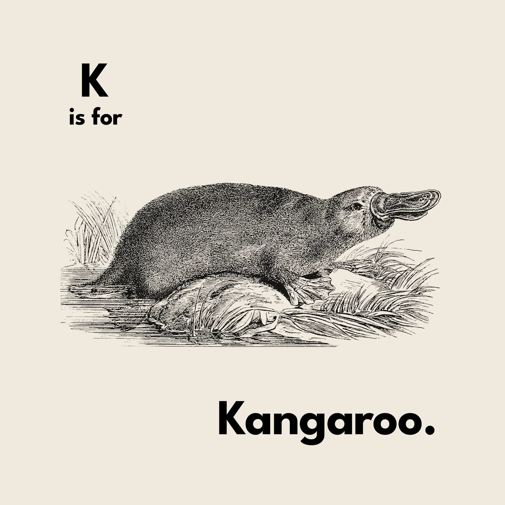 K Is For Kangaroo Oversized Tee Hoodie, Sweatshirt | CiraTrend.com (Image 4)