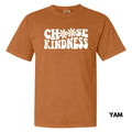 Kindness Chooser Comfort Colors T-Shirt 'NLB' Hoodie, Sweatshirt | CiraTrend.com