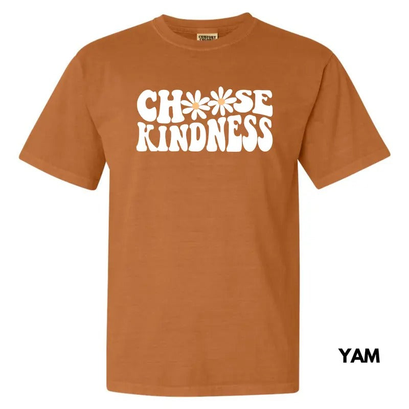 Kindness Chooser Comfort Colors T-Shirt 'NLB' Hoodie, Sweatshirt | CiraTrend.com