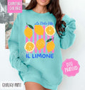 La Dolce Vita Comfort Colors Sweatshirt, Trendy Women's Crewneck T-Shirts, Hoodie | CiraTrend.com