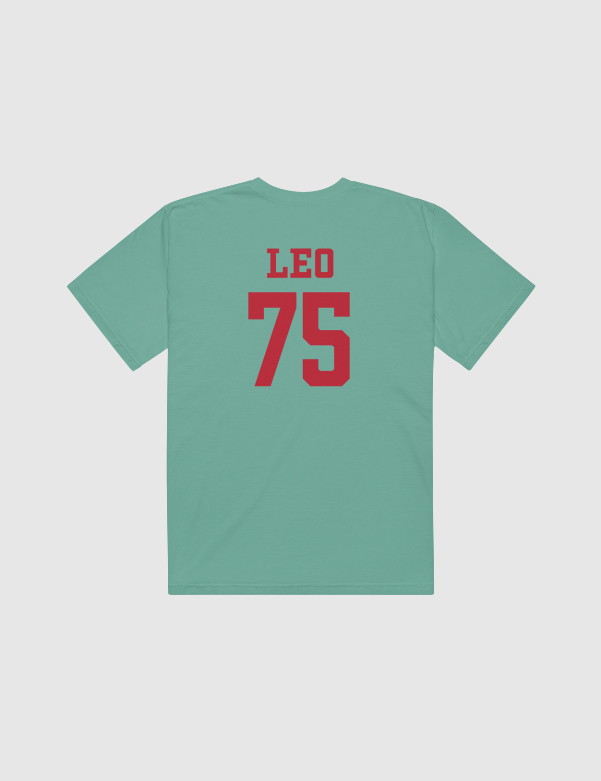 Leo Unisex Logo T-Shirt [Seafoam] Hoodie, Sweatshirt | CiraTrend.com (Image 3)