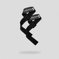 Lifting Straps | Premium Padded Weightlifting Straps - Black (no padding) T-Shirts, Hoodie, Sweatshirt | CiraTrend.com