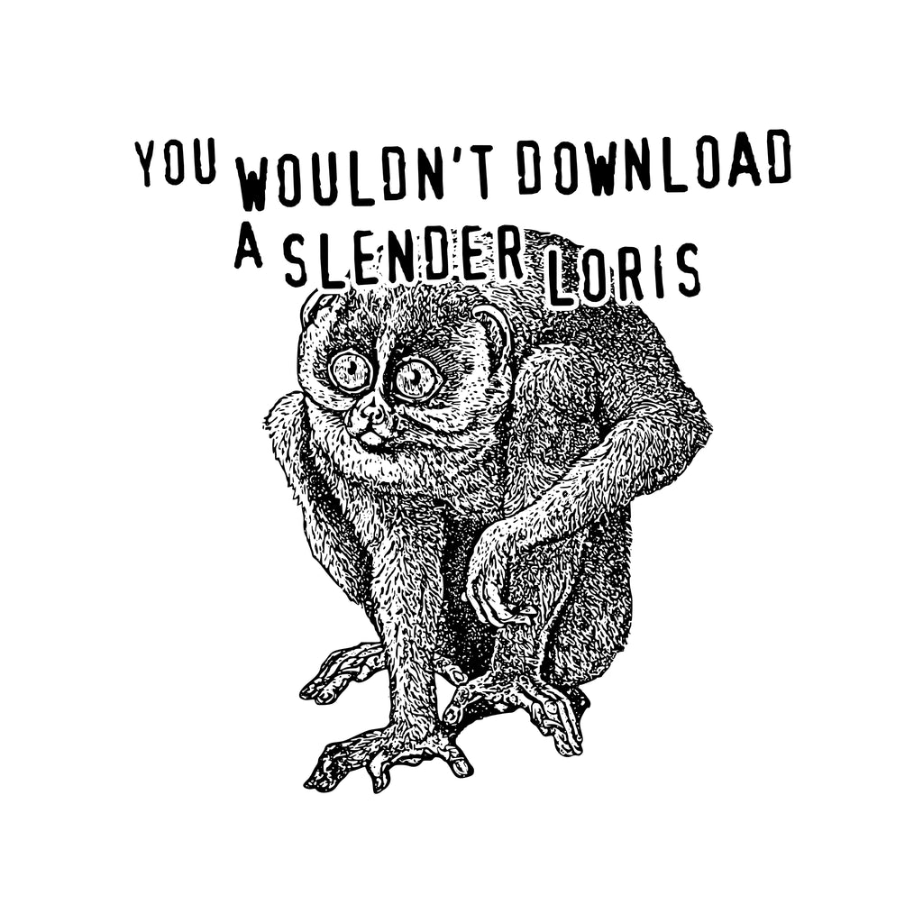 Slender Loris Oversized Tee Hoodie, Sweatshirt | CiraTrend.com (Image 3)