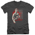 Bloodsport To The Death - Men's V-Neck T-Shirt Hoodie, Sweatshirt | CiraTrend.com