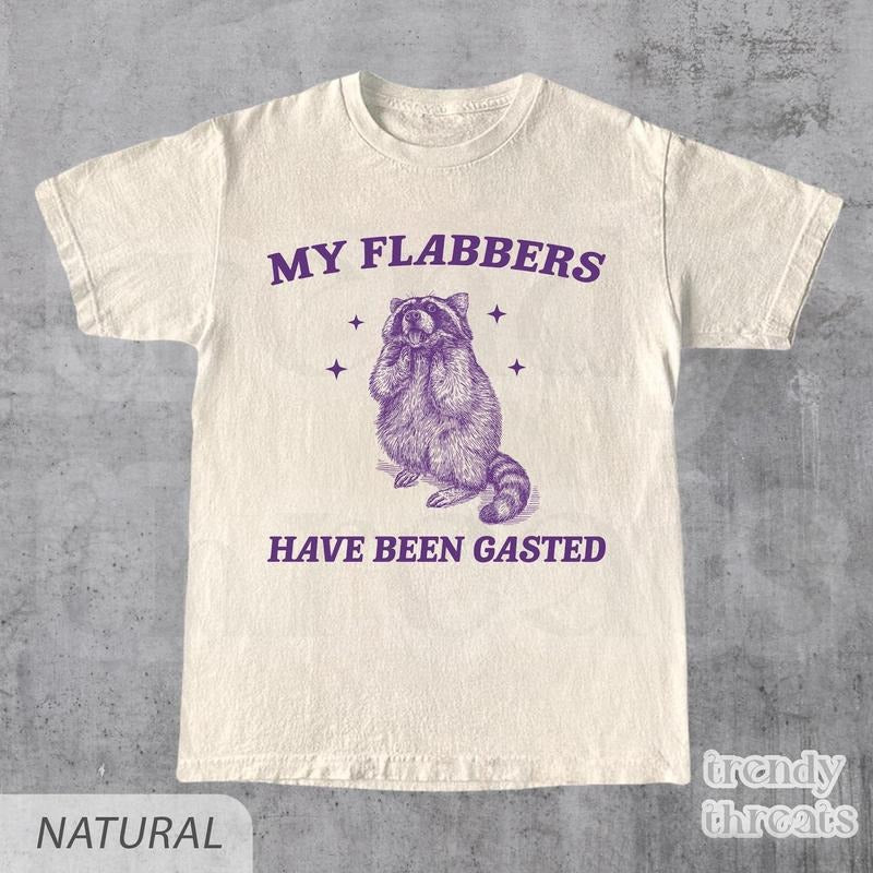 My Flabbers Have Been Gasted Shirt, Funny Raccoon Meme, Funny Trash Panda, Funny Sarcastic Snarky, Adult Humor Funny...