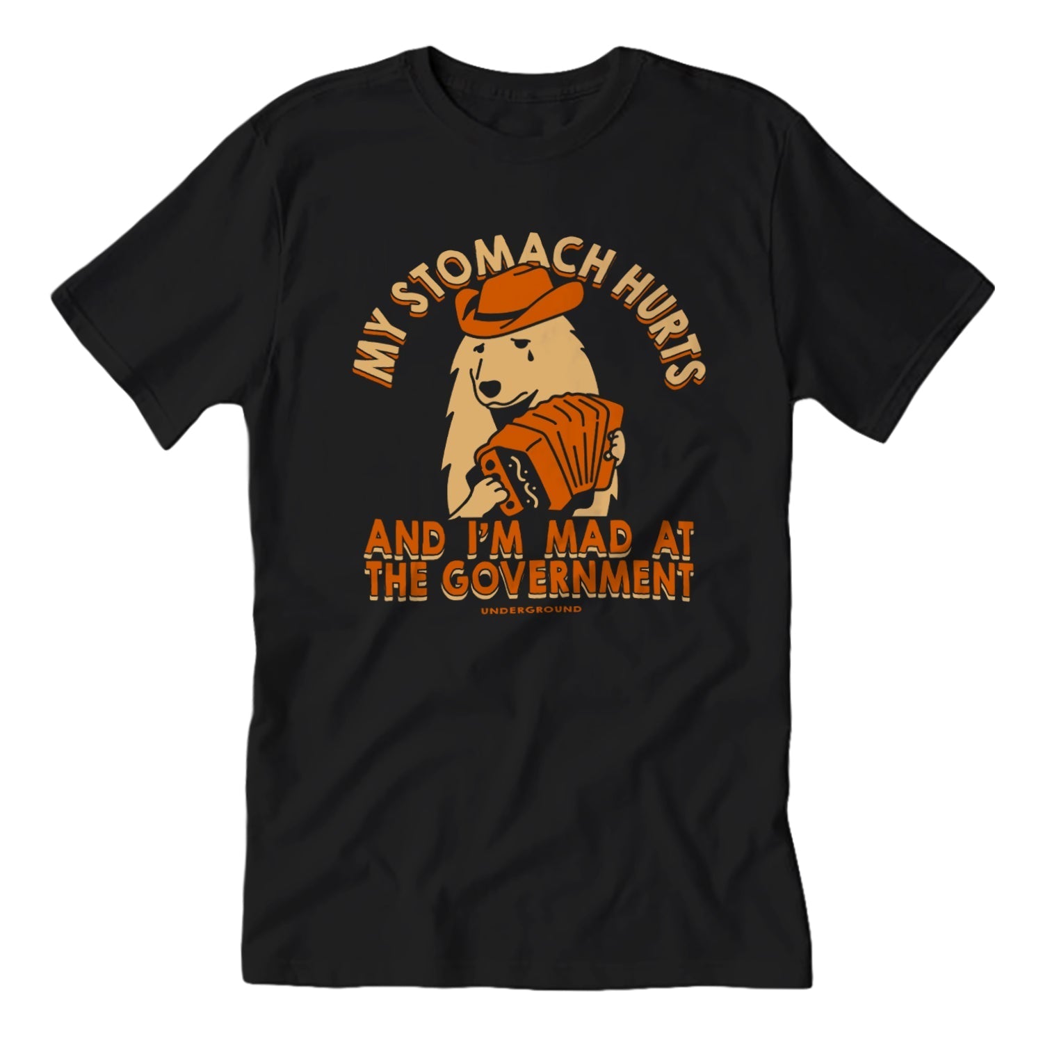 My Stomach Hurts and I'm Mad at the Government T-Shirt Hoodie, Sweatshirt | CiraTrend.com (Image 1)