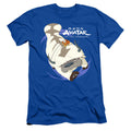 Avatar The Last Airbender Appa In Flight Slim Fit Mens T Shirt Royal Blue Style003 Hoodie, Sweatshirt | CiraTrend.com