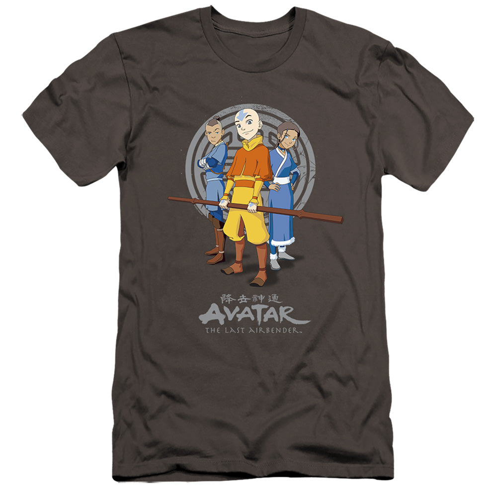 Avatar The Last Airbender Team Avatar Hbo Premium Bella Canvas Slim Fit Mens T Shirt Charcoal Hoodie, Sweatshirt