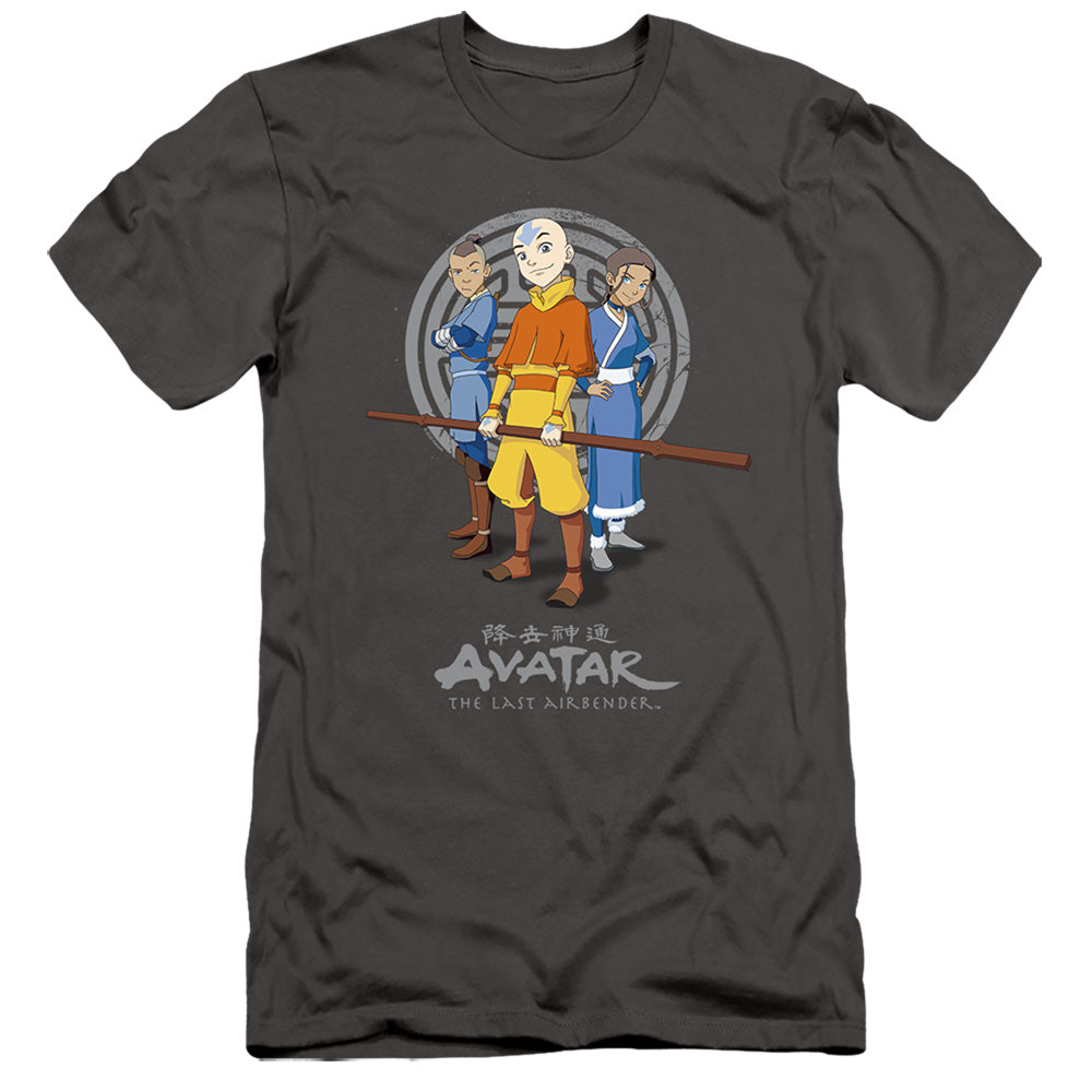 Avatar The Last Airbender Team Avatar Slim Fit Mens T Shirt Charcoal Style004 Hoodie, Sweatshirt | CiraTrend.com