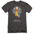 Avatar The Last Airbender Team Avatar Slim Fit Mens T Shirt Charcoal Style003 Hoodie, Sweatshirt | CiraTrend.com