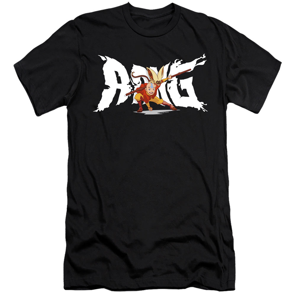 Avatar The Last Airbender Aang And Momo Hbo Premium Bella Canvas Slim Fit Mens T Shirt Black Hoodie, Sweatshirt