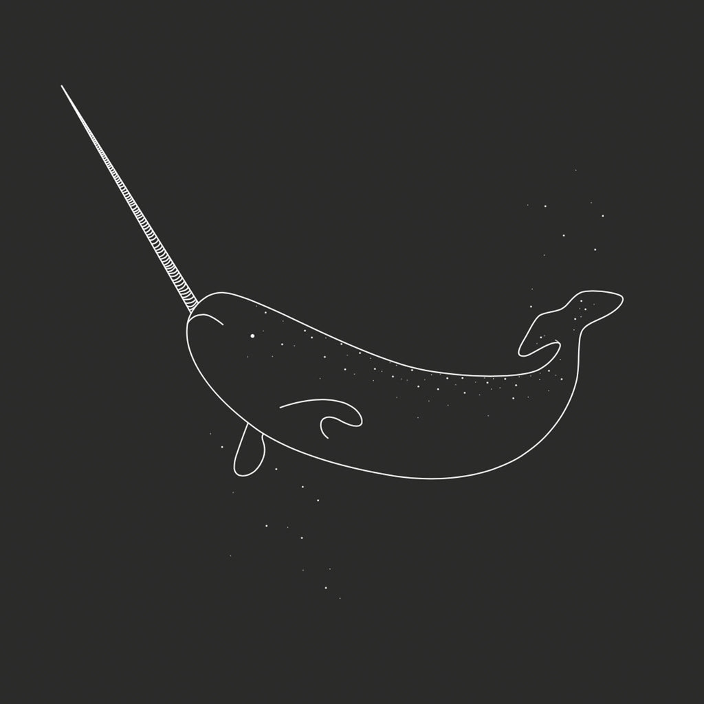 Narwhal Hoodie T-Shirts, Sweatshirt | CiraTrend.com (Image 5)